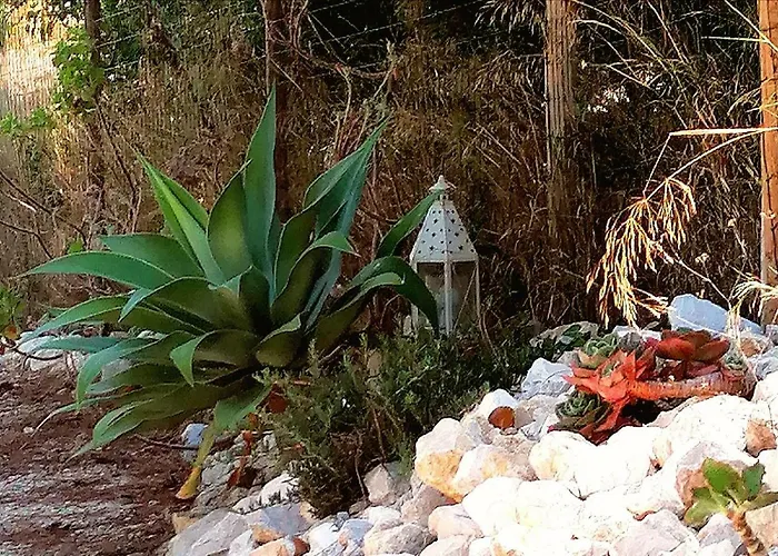 Quinta Do Meco - Beach & Nature